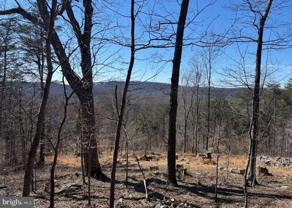 Unit for sale at CARTERS RUN, MARSHALL, VA 20115