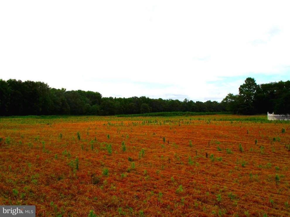 Unit for sale at 87 ROUTE 8, MARYDEL, DE 19964