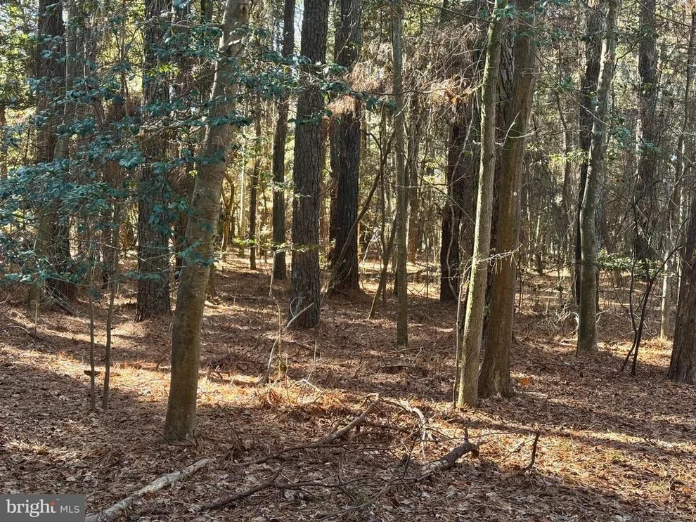 Unit for sale at Lot 831 CASTAWAY DRIVE, GREENBACKVILLE, VA 23356