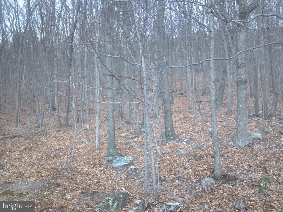 Unit for sale at FOX RUN LN, WINCHESTER, VA 22602