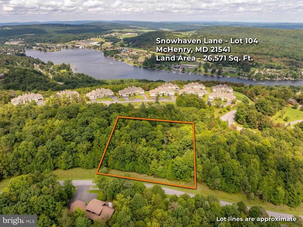 Unit for sale at SNOWHAVEN LANE, MC HENRY, MD 21541