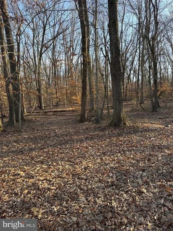 Unit for sale at 10623 OLD COLCHESTER ROAD, LORTON, VA 22079