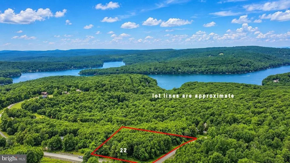 Unit for sale at 22 WOODLANDS HILL LANE, OAKLAND, MD 21550