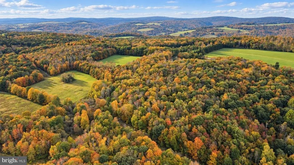 Unit for sale at 163.12 Acres BITTINGER ROAD, GRANTSVILLE, MD 21536
