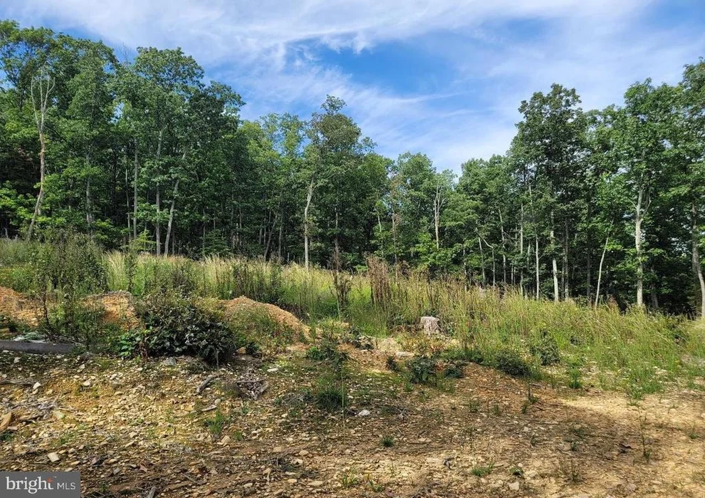 Unit for sale at 1708 MERCER ROAD, HAYMARKET, VA 20169