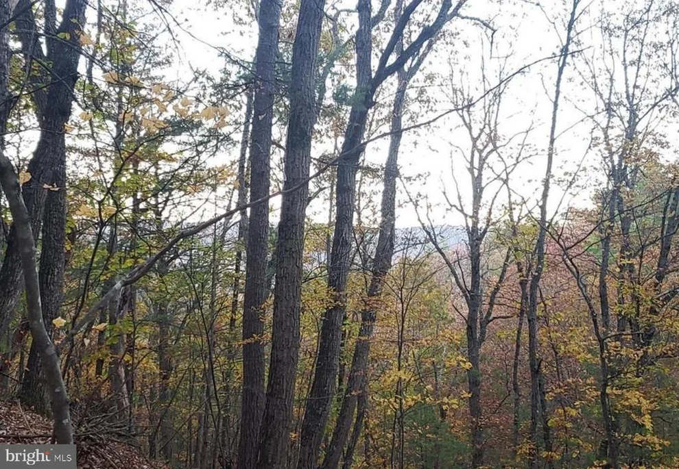 Unit for sale at 0 FAIRWAY AVENUE, BASYE, VA 22810