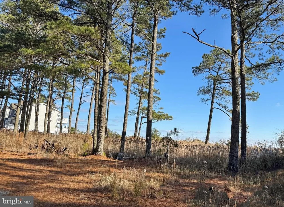 Unit for sale at Lot 719 CASTAWAY DRIVE, GREENBACKVILLE, VA 23356