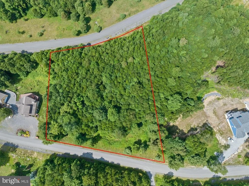 Unit for sale at 24 WOODLANDS HILL LANE, OAKLAND, MD 21550
