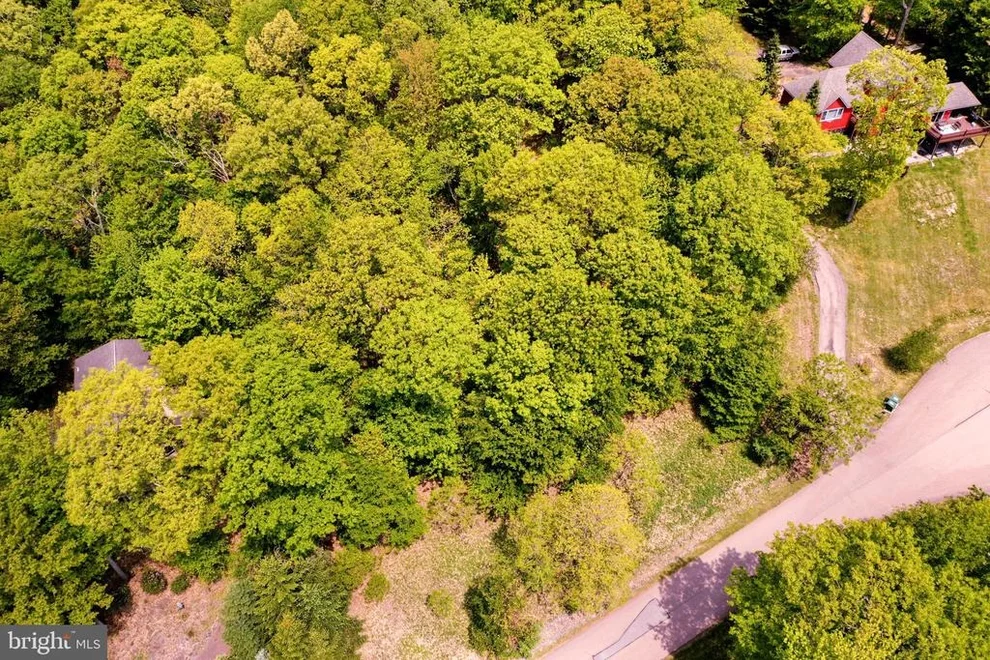 Unit for sale at Lot 4 PRIMO VISTA DRIVE, MC HENRY, MD 21541