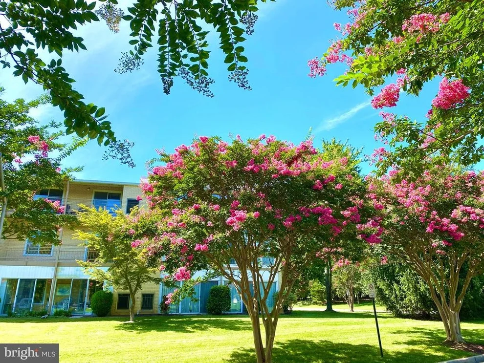 Unit for sale at 15121 GLADE DRIVE, SILVER SPRING, MD 20906