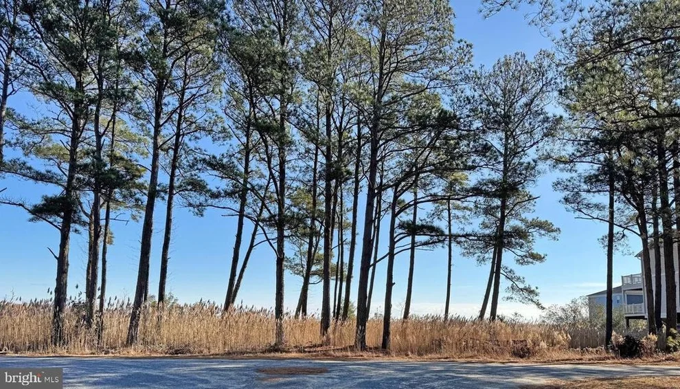 Unit for sale at Lot 718 CASTAWAY DRIVE, GREENBACKVILLE, VA 23356