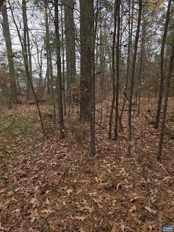 Unit for sale at 19 EVERGREEN DR, COLONIAL BEACH, VA 22443