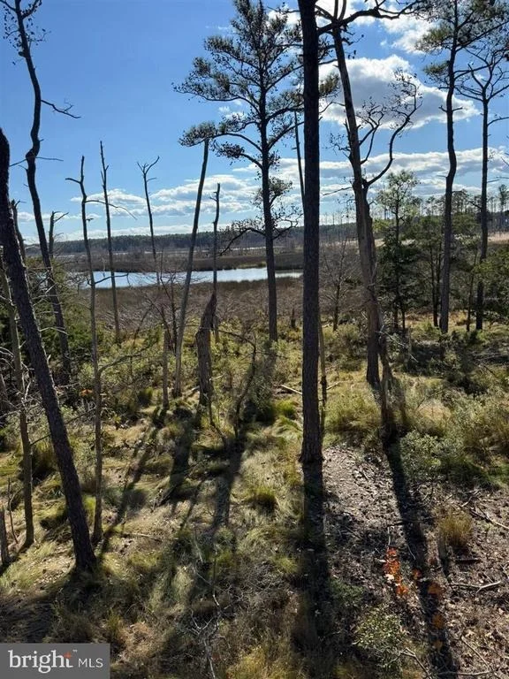 Unit for sale at ROBINSON NECK ROAD, TAYLORS ISLAND, MD 21669