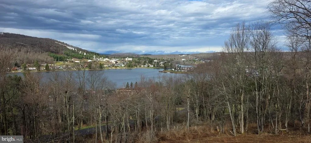 Unit for sale at TIMBER RIDGE ROAD, MC HENRY, MD 21541