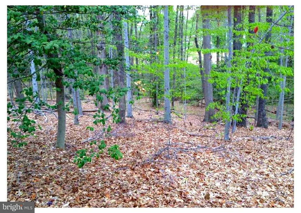 Unit for sale at 8310 UPPER SPRING LANE, ANNANDALE, VA 22003