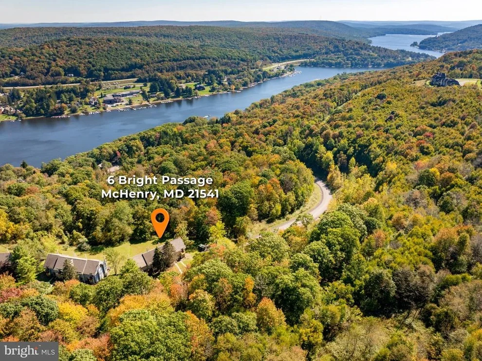 Unit for sale at 6 BRIGHT PSGE LANE, MC HENRY, MD 21541