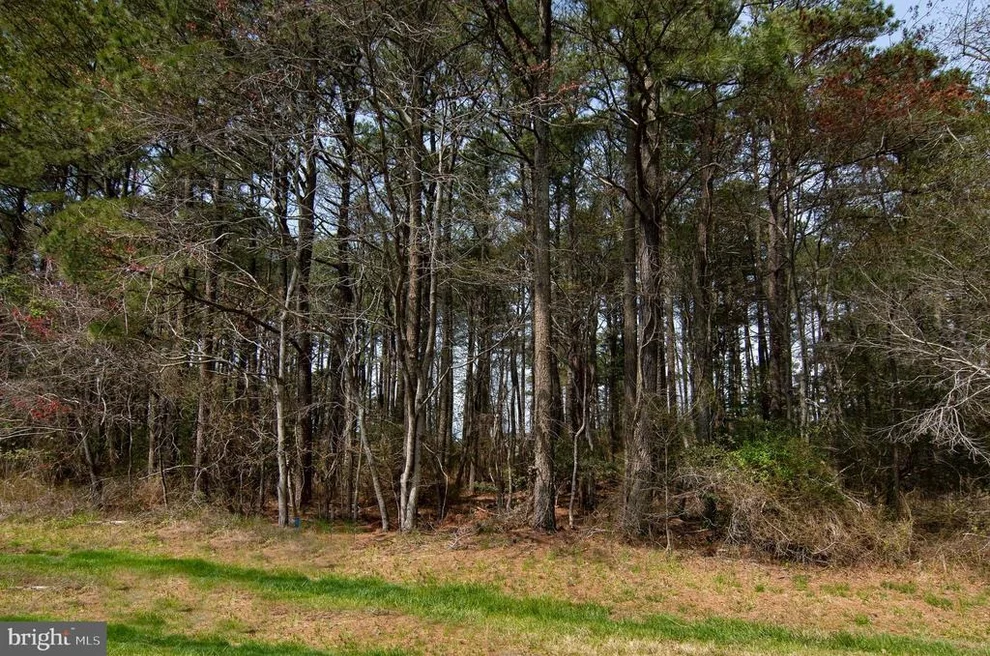 Unit for sale at Lot 862 BROADSIDE DRIVE, GREENBACKVILLE, VA 23356