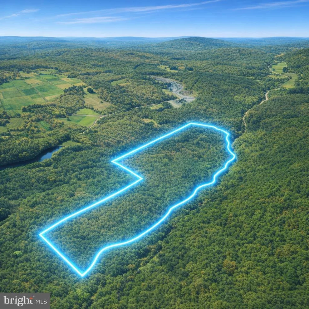 Unit for sale at 0 CROOKED CREEK ROAD, PLEASANT MOUNT, PA 18453