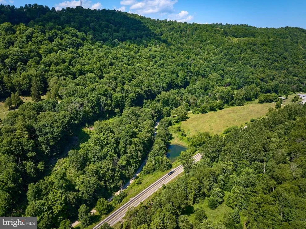 Unit for sale at 0 PEEPAW ROAD, ROARING BRANCH, PA 17765