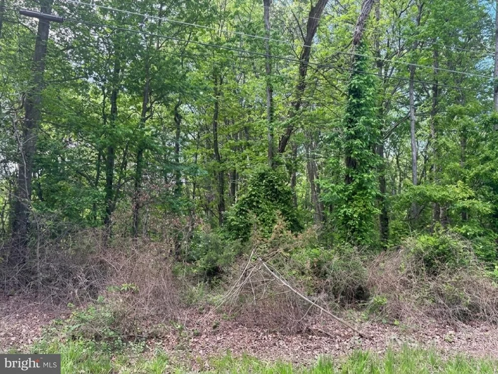 Unit for sale at LENAPAH RD, CHESTERTOWN, MD 21620