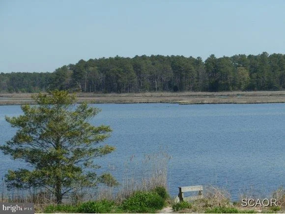 Unit for sale at 37072 LAWS POINT ROAD, SELBYVILLE, DE 19975