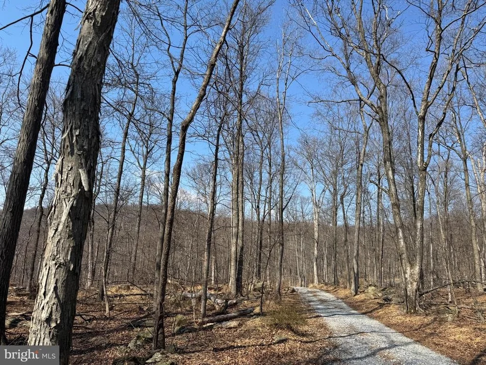 Unit for sale at MIDDLE POINT ROAD, MYERSVILLE, MD 21773