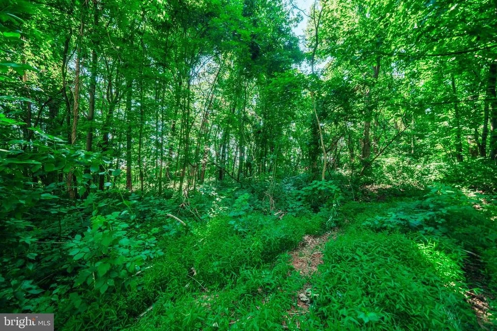 Unit for sale at Lot 8 MERRY OAKS RD, THE PLAINS, VA 20198