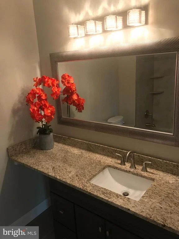 Unit for sale at 14300 GRAPE HOLLY GROVE, CENTREVILLE, VA 20121