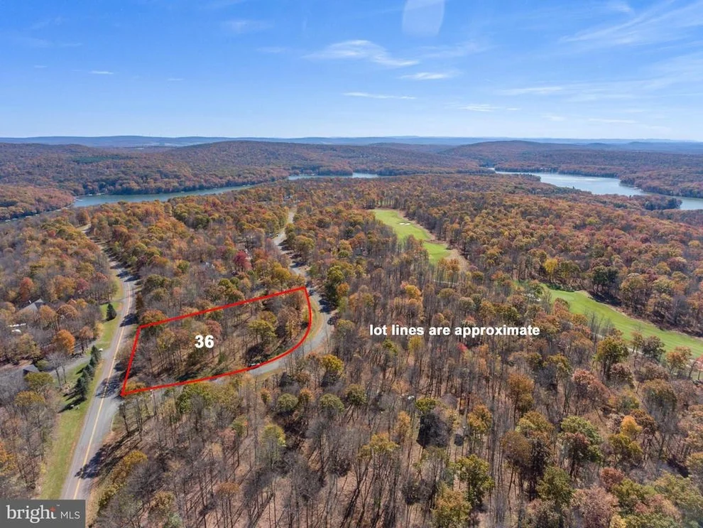 Unit for sale at 36 FERN LOOP, MC HENRY, MD 21541