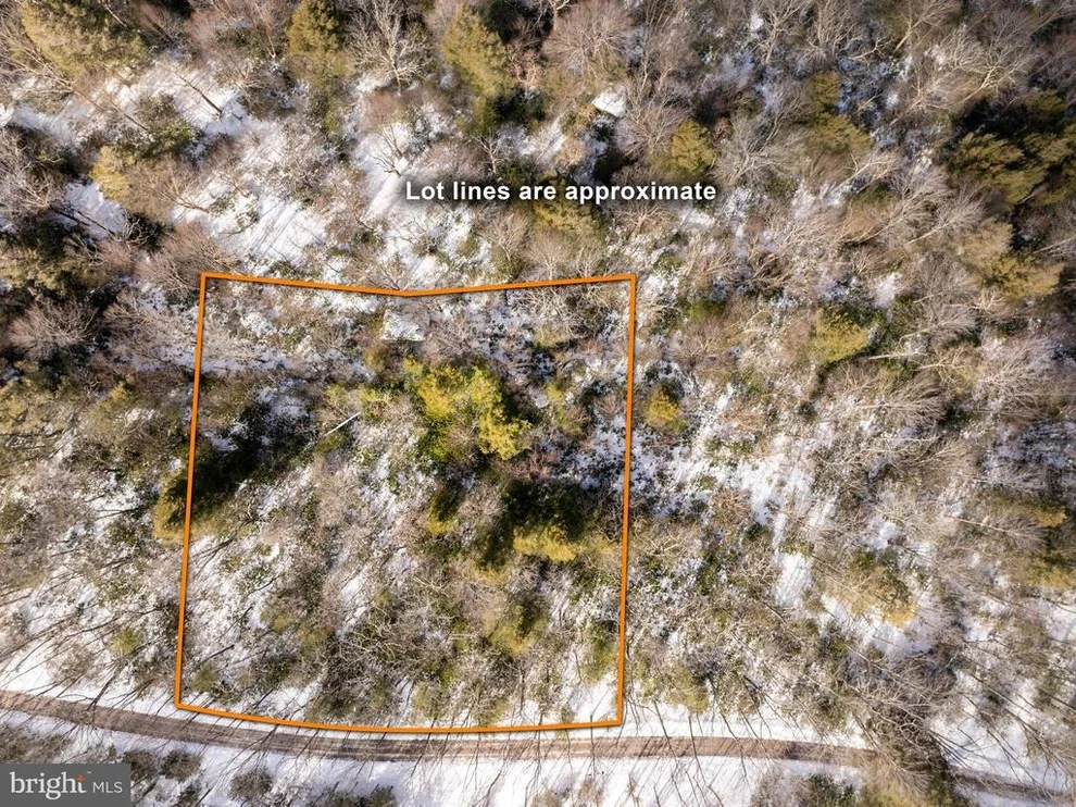 Unit for sale at 233 RHODODENDRON DRIVE, OAKLAND, MD 21550