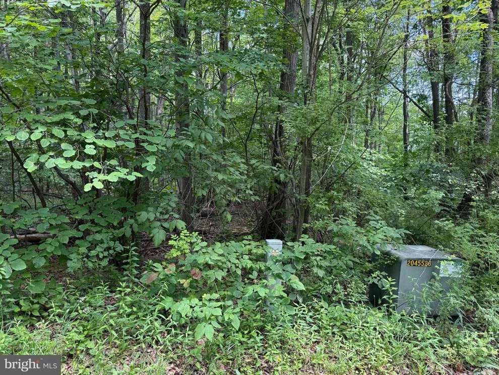 Unit for sale at APEX COURT, SWANTON, MD 21561