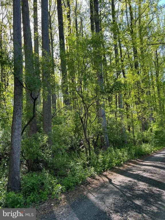 Unit for sale at CARLETANS LN, THE PLAINS, VA 20198
