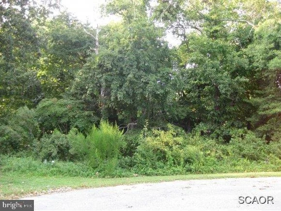 Unit for sale at SAWTOOTH COURT, DAGSBORO, DE 19939