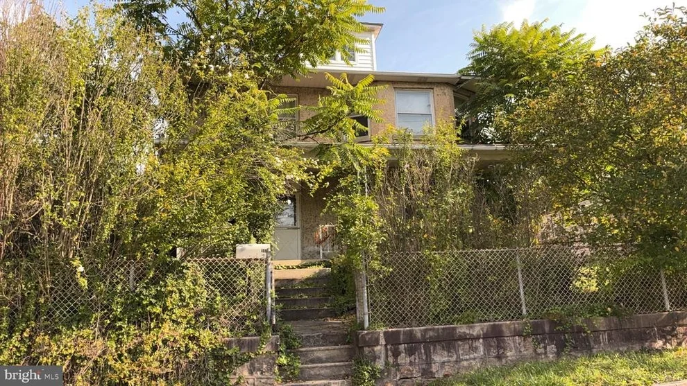 Unit for sale at 113 KALBAUGH STREET, WESTERNPORT, MD 21562