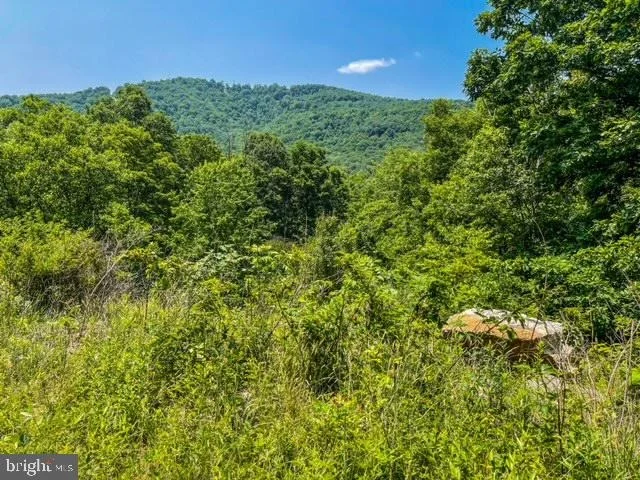 Unit for sale at 25413 SISLER HILL ROAD, WESTERNPORT, MD 21562
