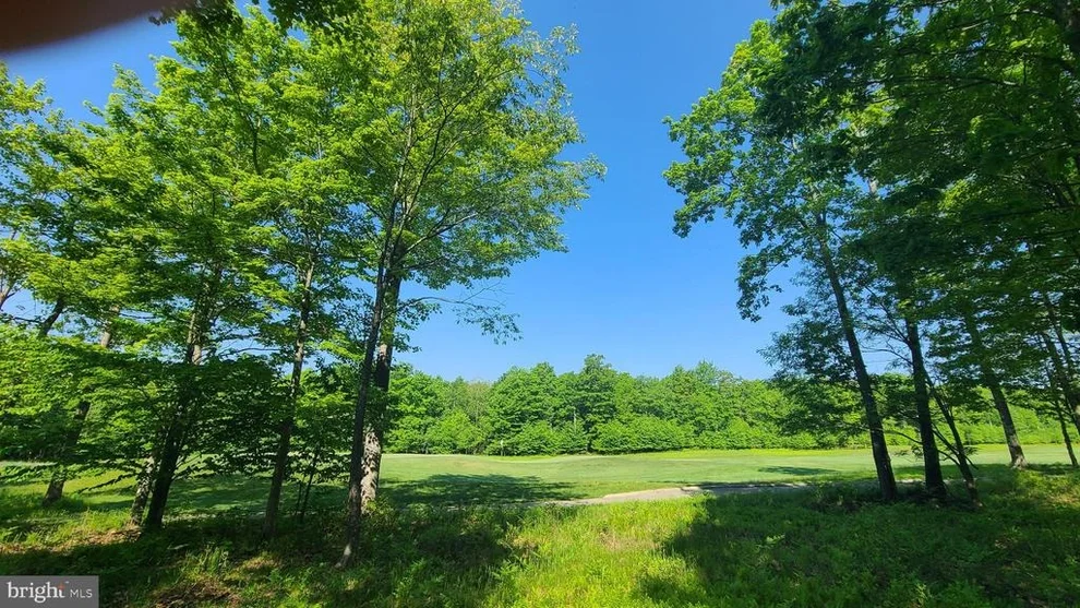 Unit for sale at 20 FERN LOOP, MC HENRY, MD 21541