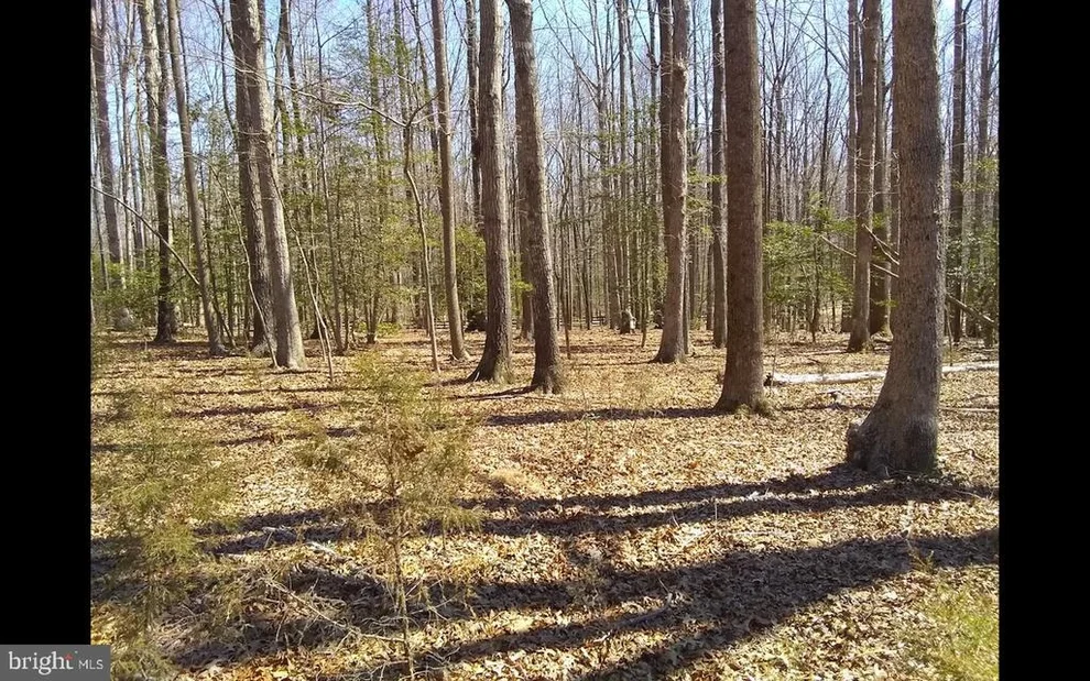 Unit for sale at SHACKELFORD WELL ROAD, FREDERICKSBURG, VA 22406