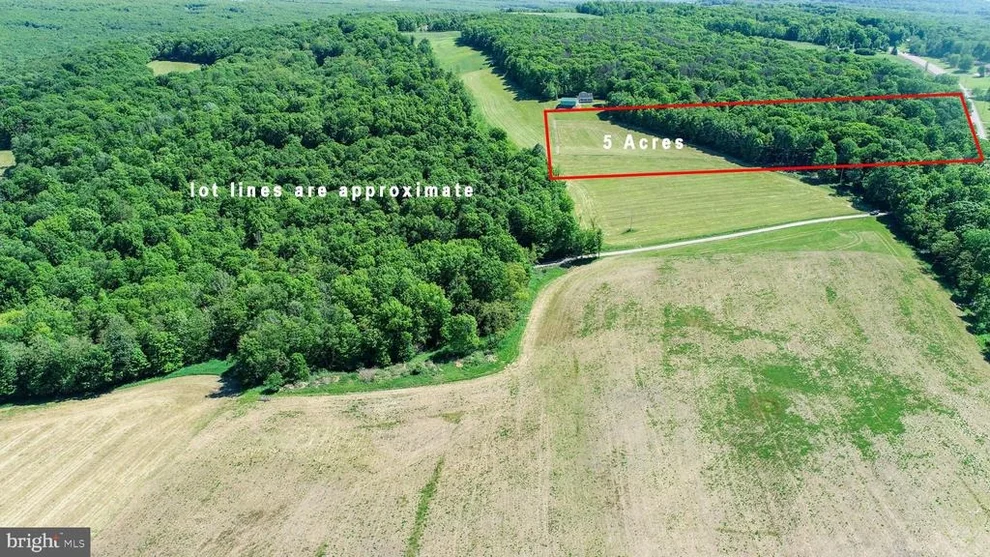 Unit for sale at 5 ACRES CHESTNUT RIDGE ROAD, GRANTSVILLE, MD 21536
