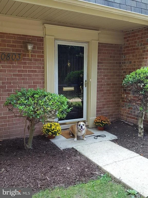 Unit for sale at 10803 BUCKNELL DRIVE, SILVER SPRING, MD 20902