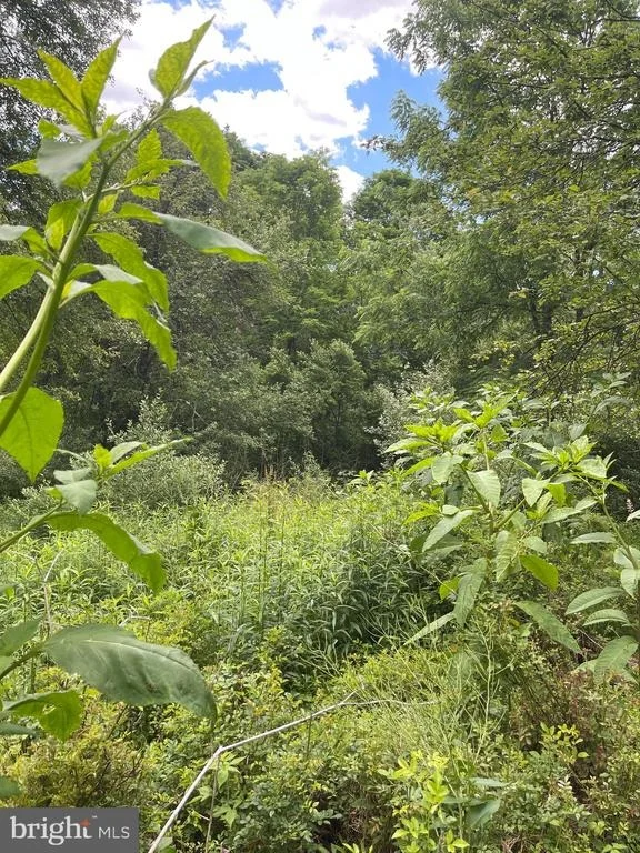 Unit for sale at WES MOUNTAIN TRAIL, MC HENRY, MD 21541