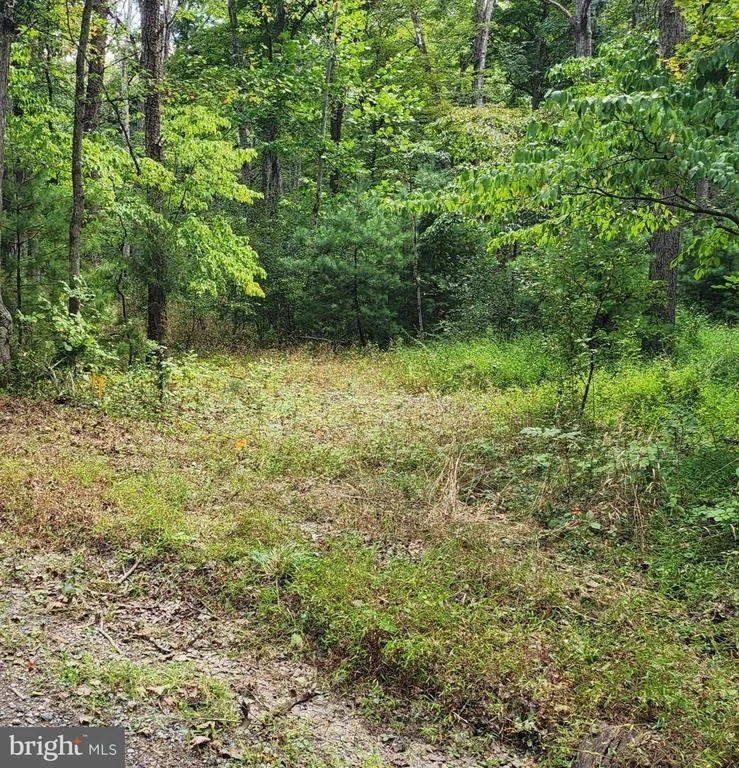 Unit for sale at 380 CONNERS HOLLOW ROAD, GREAT CACAPON, WV 25422