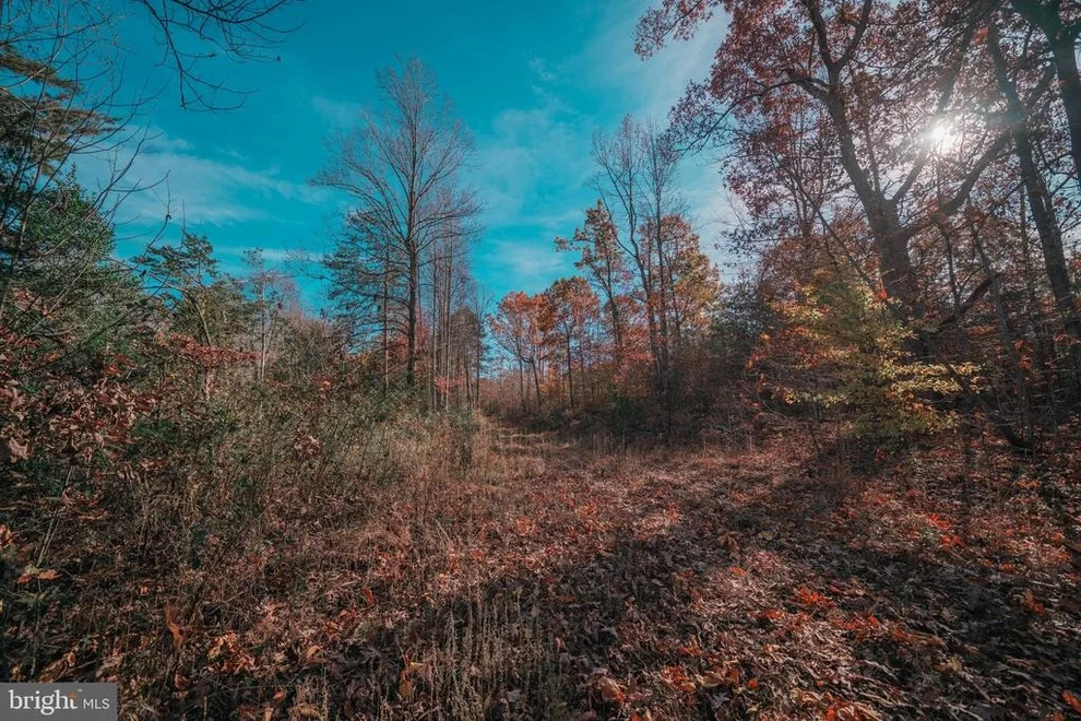 Unit for sale at OFF OF RT 33 / SPOTSWOOD TRAIL, RUCKERSVILLE, VA 22968