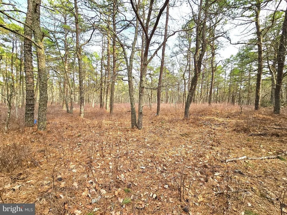 Unit for sale at 0 BIRCHWOOD, TUCKERTON, NJ 08087