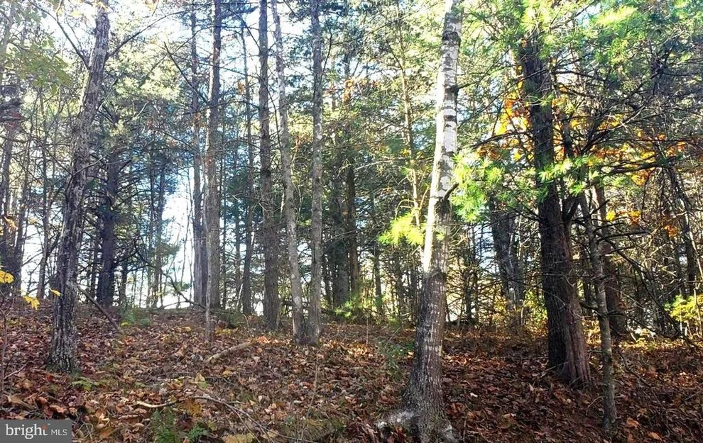 Unit for sale at 0 FAIRWAY DRIVE, BASYE, VA 22810