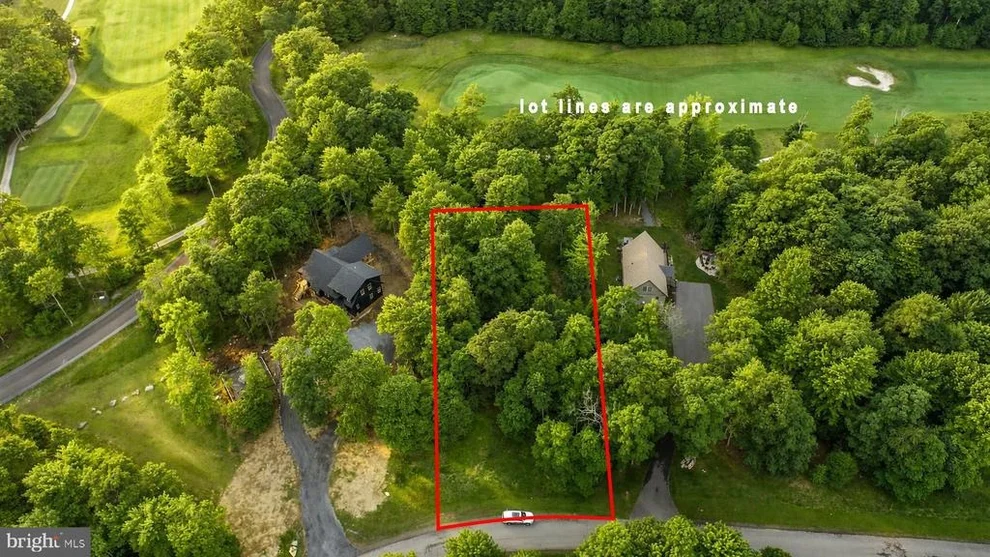 Unit for sale at 20 FERN LOOP, MC HENRY, MD 21541