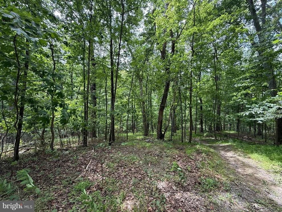 Unit for sale at MAD HATTER, HARPERS FERRY, WV 25425