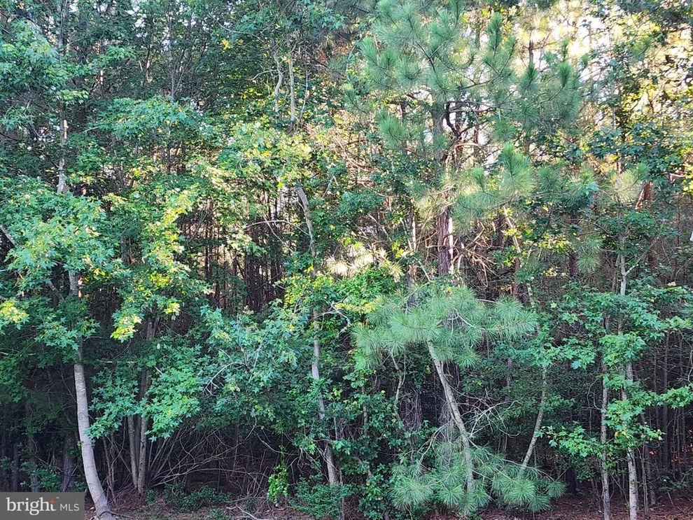 Unit for sale at 17025 THREE NOTCH ROAD, DAMERON, MD 20628