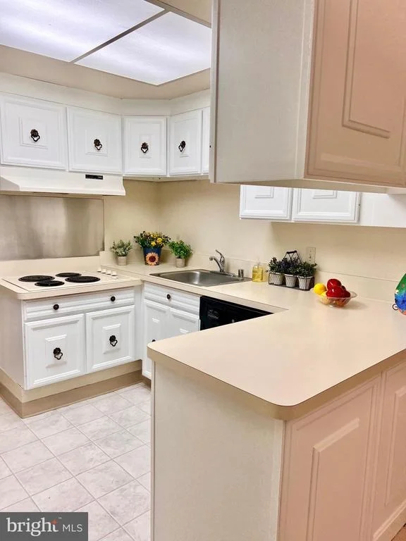 Unit for sale at 3425 S LEISURE WORLD BOULEVARD, SILVER SPRING, MD 20906