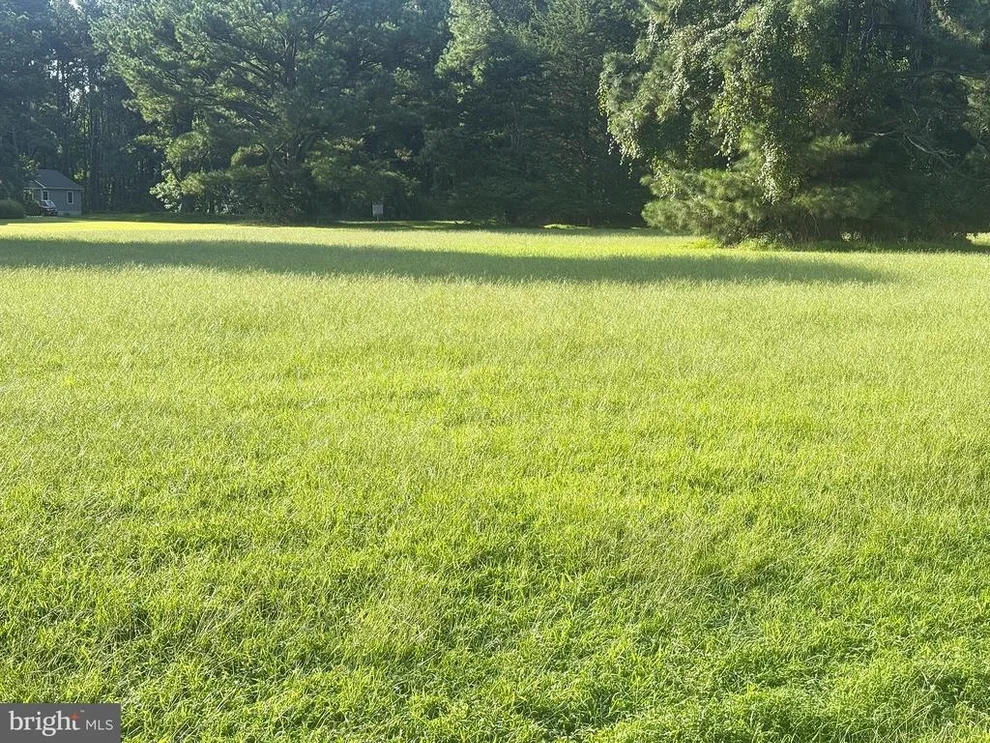 Unit for sale at Lot 298 UNDERWAY ROAD, GREENBACKVILLE, VA 23356