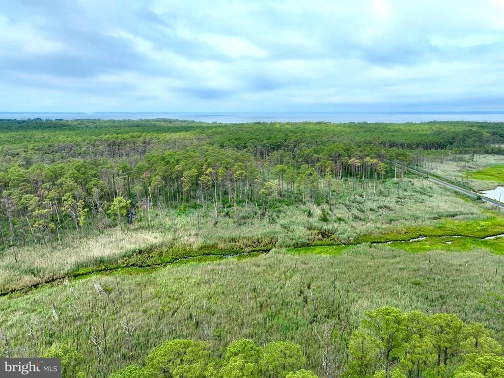 Unit for sale at 0 HOOPERS NECK ROAD, TAYLORS ISLAND, MD 21669